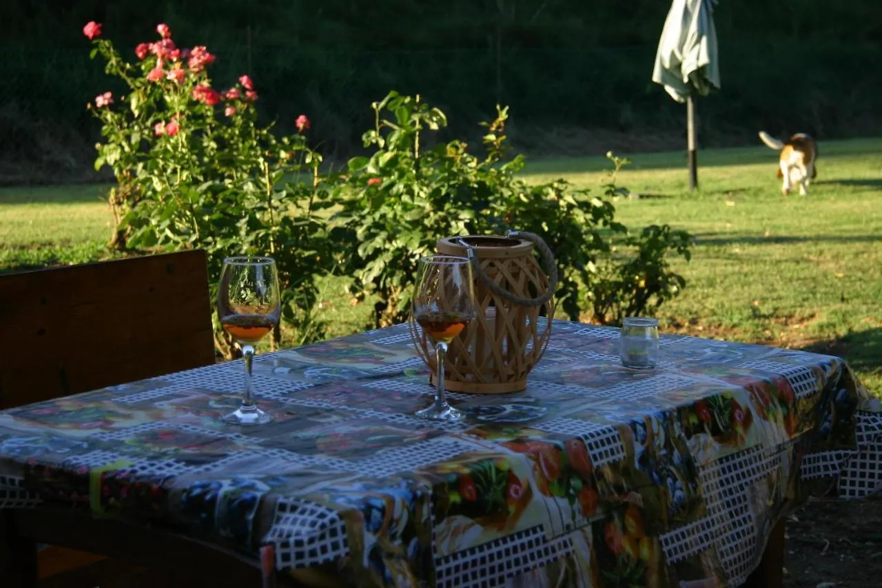 Villa Lilli 3 Ferrara Lejlighed