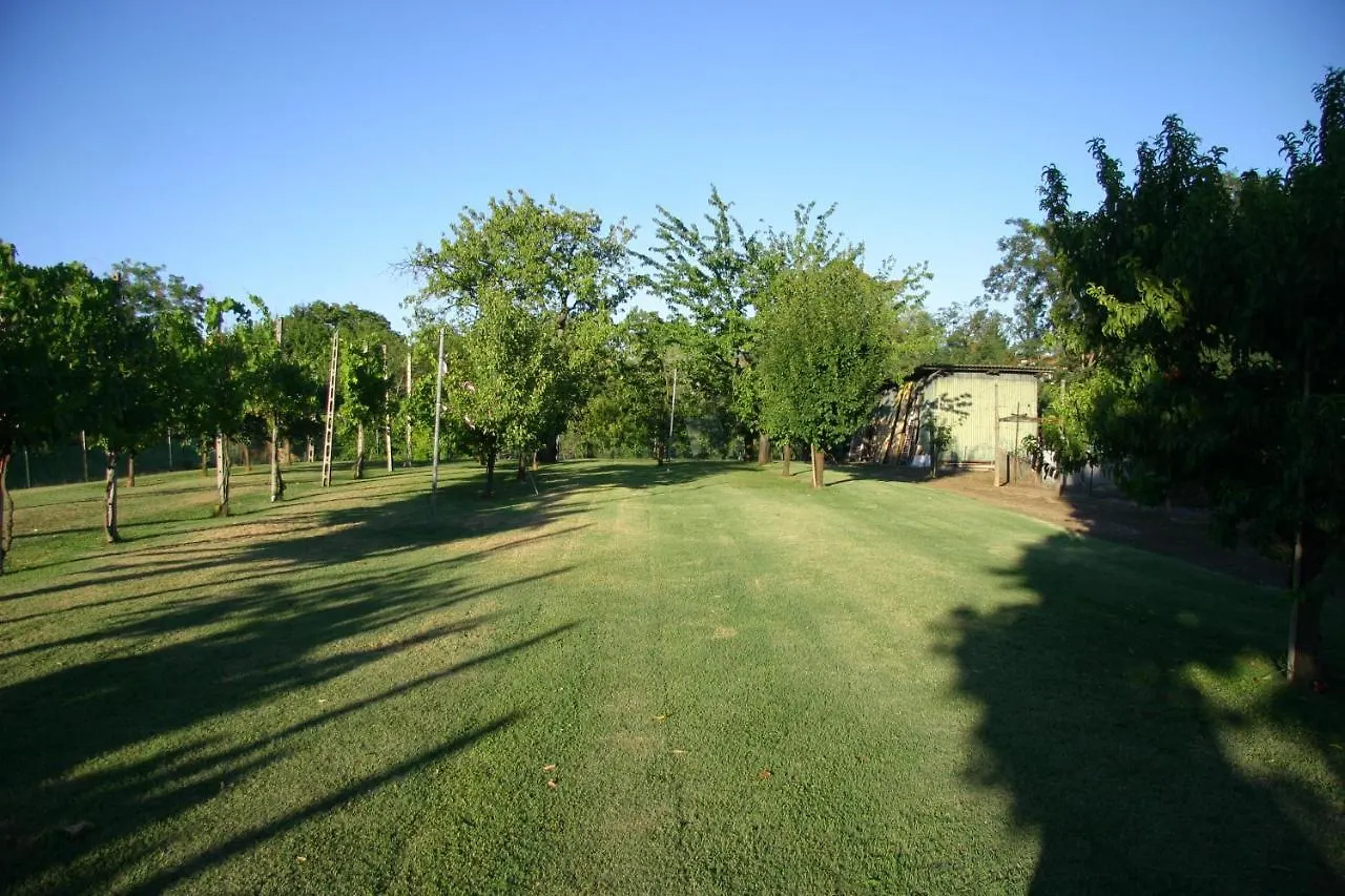 Villa Lilli 3 Ferrara